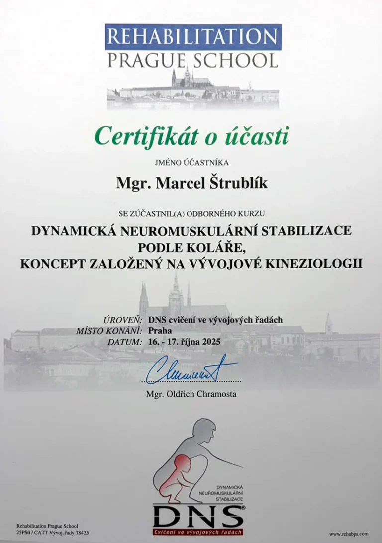 Marcel Štrublík – certifikát o účasti, DNS cvičení ve vývojových řadách